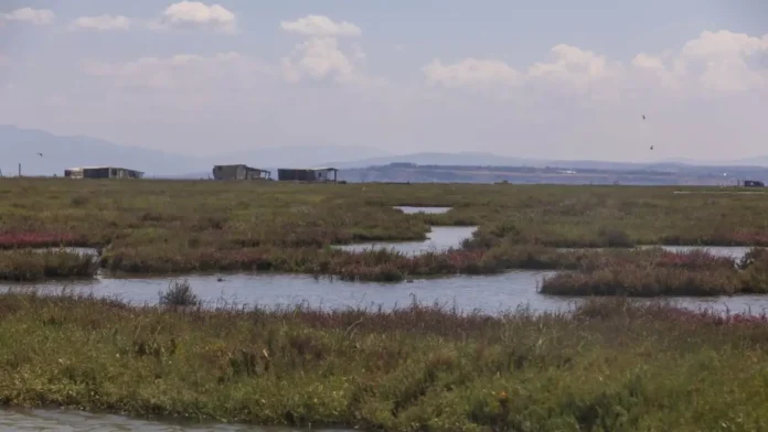 axios-potamos-eurokinissi-1-1200x675
