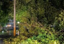 Πτώσεις δέντρων και πλημμυρισμένοι δρόμοι σε Δράμα και Κομοτηνή