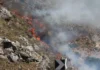 Καίγεται το φοινικόδασος στην Πρέβελη
