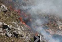 Καίγεται το φοινικόδασος στην Πρέβελη