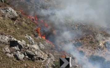 Καίγεται το φοινικόδασος στην Πρέβελη