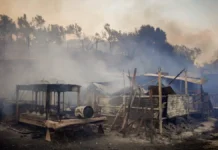 Έως 1.000 στρέμματα έγιναν στάχτη στο Πλωμάρι – Καταστράφηκαν ελαιώνες και κτηνοτροφικές μονάδες