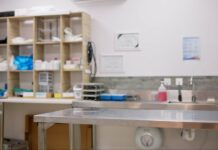 Έκανε παράνομα χειρουργεία σε ζώα