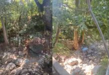 «Δεν υπάρχει σταγόνα νερό»- Πως είναι η ρεματιά στο παλιό ελαιοτριβείο Άνω Λεχωνίων (video)