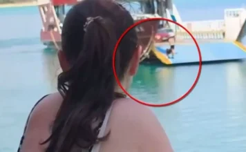 Πλοιοκτήτης ο άνδρας που κολυμπούσε προς το πλοίο που άνοιξε τον καταπέλτη εν πλω (βίντεο)