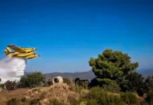 Δορυφορικές εικόνες από τις φωτιές σε Βοιωτία και Αργολίδα – Ο καπνός έφτασε μέχρι και τη Λακωνία