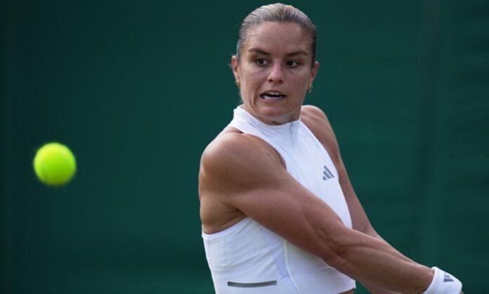 sakkari