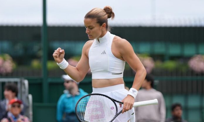 sakkari