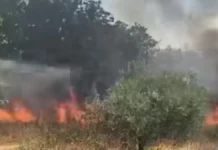 Βγήκαν εκτός δρόμου με το αυτοκίνητο, χτύπησε στο έδαφος και προκάλεσε φωτιά