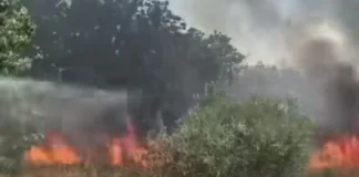 Βγήκαν εκτός δρόμου με το αυτοκίνητο, χτύπησε στο έδαφος και προκάλεσε φωτιά