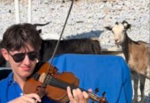 Έπαιξε βιολί σε παραλία και «μάγεψε» μέχρι και τις κατσίκες (βίντεο)