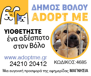 ADOPTME