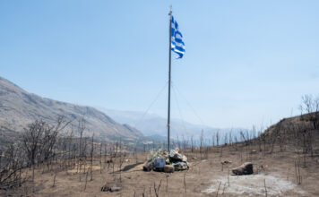 Αρνητικό ρεκόρ της Ελλάδας στις καμένες εκτάσεις: Μόνοι στην πρώτη γραμμή οι πυροσβέστες