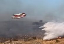 Δείτε βίντεο από την πυρκαγιά στην Κρήνη Φαρσάλων