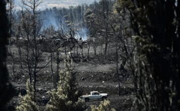 Ολοκληρώθηκε η χαρτογράφηση των καμένων εκτάσεων στην Αττική – Πότε ξεκινούν τα αντιπλημμυρικά