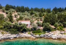 Το «ασημένιο» νησί του Παγασητικού αλλάζει χέρια μετά από 63 χρόνια – Η ιστορία του