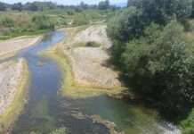 Πηνειός: «Κόντρα» στην ξηρασία της Ευρώπης – 110% πάνω από τη μέση τιμή η στάθμη στον Ληθαίο