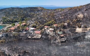 Πυρκαγιά στη Σαλαμίνα: Αμέλεια και εμπρησμός με διαφορά 5 λεπτών έφεραν την καταστροφή