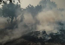 Αναζωπυρώσεις και διάσπαρτες εστίες στη δυτική Αττική – Σκληρή μάχη σε Κιθαιρώνα, Κανδήλι και βορειανατολικά της Ψάθας