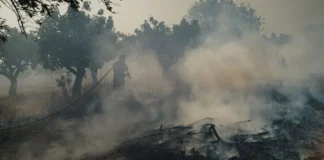 Αναζωπυρώσεις και διάσπαρτες εστίες στη δυτική Αττική – Σκληρή μάχη σε Κιθαιρώνα, Κανδήλι και βορειανατολικά της Ψάθας