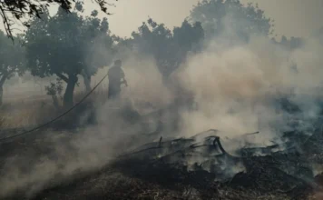 Αναζωπυρώσεις και διάσπαρτες εστίες στη δυτική Αττική – Σκληρή μάχη σε Κιθαιρώνα, Κανδήλι και βορειανατολικά της Ψάθας