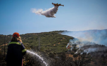 Ασυνείδητος έκανε μπάρμπεκιου στη Σταμάτα – 281 συλλήψεις από την αρχή του έτους