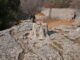 Μαθητές και από τον Βόλο… συναντούν τον Όμηρο στη Χίο!