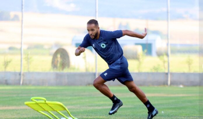 el arabi marko
