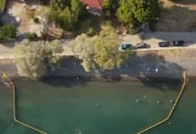 Μπάνιο με πλωτά φράγματα για μωβ μέδουσες και τσούχτρες – «Ελπίζουμε να εξαφανιστούν»