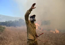 Τι είναι οι «mega-fires»: Το σημείο «0» της φωτιάς που εξαπλώθηκε από τη Βοιωτία, στην Αττική