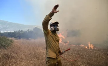 Τι είναι οι «mega-fires»: Το σημείο «0» της φωτιάς που εξαπλώθηκε από τη Βοιωτία, στην Αττική