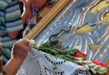 Βγήκαν τα «Φιδάκια της Παναγίας» και φέτος στην Κεφαλονιά
