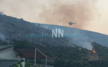 Χωρίς ενεργό μέτωπο η φωτιά στη Μακύνεια Ναυπακτίας