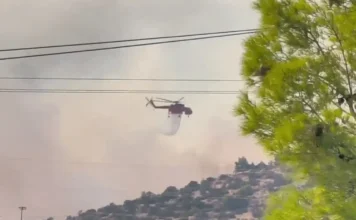 Νέα αναζωπύρωση στο νότιο μέτωπο της πυρκαγιάς: Συναγερμός σε Μέγαρα και Βλυχάδα