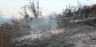 Σύλληψη άνδρα για φωτιά που προκλήθηκε από σκαπτικό μηχάνημα