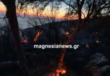 Παραμένουν στην Πάου πυροσβεστικές δυνάμεις- Έσβησε η φωτιά