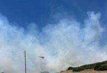 Ελέγχεται η φωτιά στα Φάρσαλα
