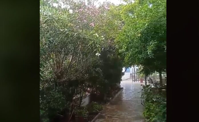 kalamos