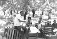 Τα αχλάδια της Μπούφας: Επιεικώς τα καλύτερα