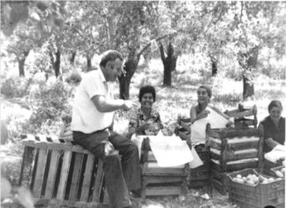 Τα αχλάδια της Μπούφας: Επιεικώς τα καλύτερα