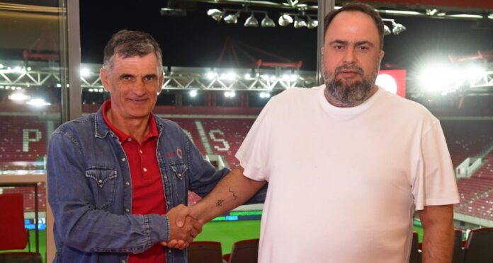 medi marinakis