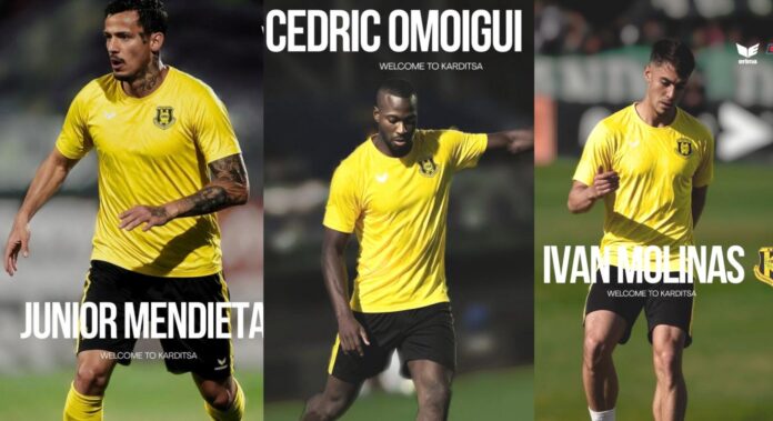 mendi omoigi molinas
