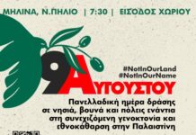 Πανελλαδική δράση για την Παλαιστίνη στη Μηλίνα