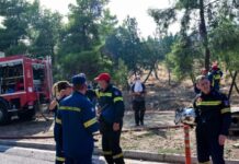 Έξι συλλήψεις για εμπρησμούς σε Ηλεία, Έβρο, Αττική, Χίο, Θεσπρωτία και Φωκίδα – Αναμμένο τσιγάρο πέταξε ο ένας