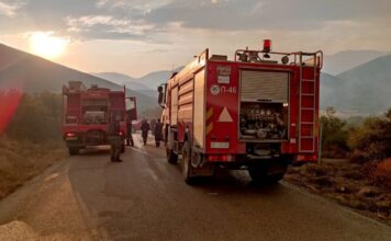 Πυροσβεστική: 39 αγροτοδασικές πυρκαγιές, δύο συλλήψεις και βαριά πρόστιμα σε ένα 24ωρο