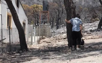 «Αυτό το δάσος δεν θα ζήσουμε να το ξαναδούμε» – Σπαρακτική επιστροφή των πυρόπληκτων στο Πόρτο Γερμενό