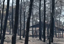 Πόρτο Γερμενό: Αποκαρδιωτικές εικόνες αποκαλύπτουν το μέγεθος της καταστροφής από τη φωτιά