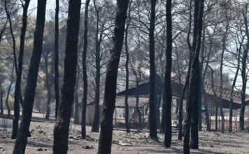 Πόρτο Γερμενό: Αποκαρδιωτικές εικόνες αποκαλύπτουν το μέγεθος της καταστροφής από τη φωτιά