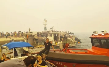 Πώς η Πυροσβεστική διέσωσε ανθρώπινες ζωές από την καταστροφική φωτιά στην Αττικοβοιωτία