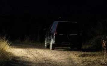 Νεκρός βρέθηκε ψυχολόγος που αγνοούνταν – Δύο συλλήψεις για τον θάνατό του